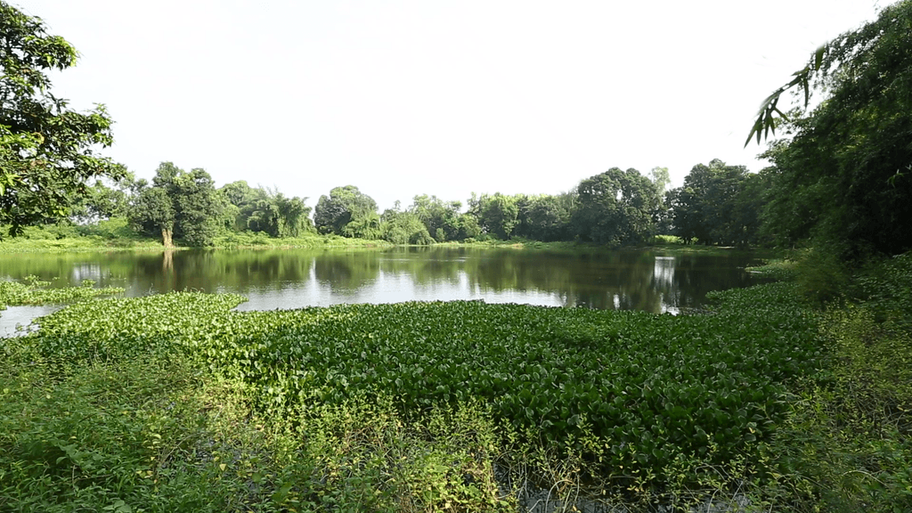 Kalyan sagar.png